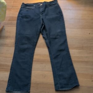 Classic Blue Women's Jeans NYDJ Not Your Daughters Jeans 16